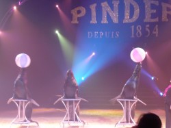 P1160430