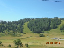 DSC00368