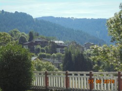 DSC00381