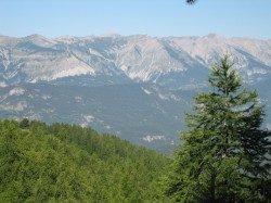 IMG_1293