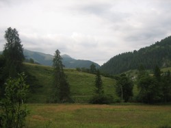 IMG_1346