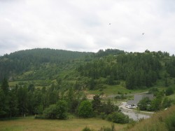 IMG_1347