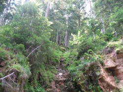 CReBAT_3_VTT_20