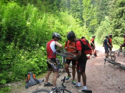CReBAT_3_VTT_22