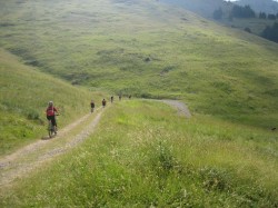 CReBAT_3_VTT_7