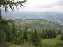 CReBAT_3_marche_orientation_10