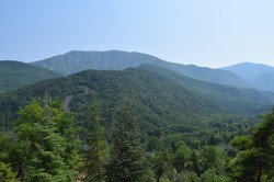 DSC_0367
