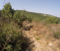 DCIM100GOPRO