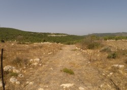 DCIM100GOPRO