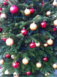 joyeux_noel_2015