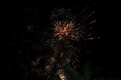 IMG_6823