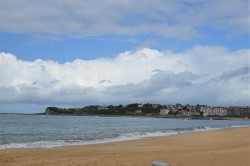 photo_11