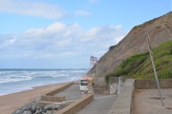 photo_3