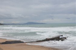photo_4