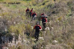 photo_8