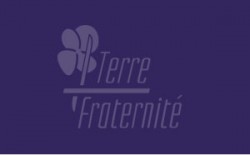 logo_violet