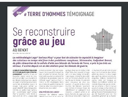 Le Lego (R) Serious Play (R) dans le Terre Information Magazine (novembre 2016)